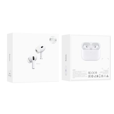 Hoco EW51 ANC True Wireless Bluetooth Earbuds_img_2