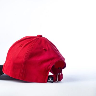 “SOBER” Red Cap – Ride Life’s Highs Fully Awake!_img_1
