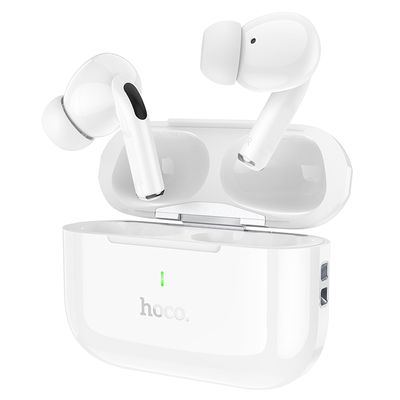 Hoco EW59 True Wireless BT Earbuds_img_0