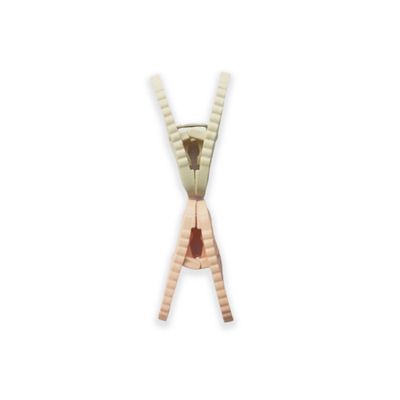 Proclean Premium Cloth Clip ( 20pcs ) CC-1527_img_4