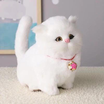 Simulation  cat toy_img_2