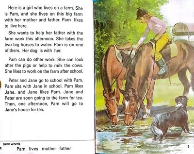 Key Words with Peter and Jane 5a,5b,6a,7b,7a,7b_img_6
