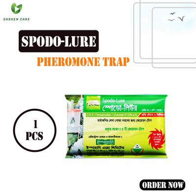 Spodo-Lure (Pheromone Trap)_img_0