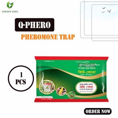 Q-Phero (Pheromone Trap)_img_0