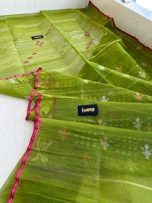 ঘাস ফড়িং 🍃🌿_img_0