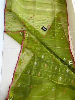 ঘাস ফড়িং 🍃🌿_img_2