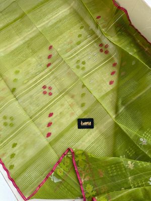 ঘাস ফড়িং 🍃🌿_img_10