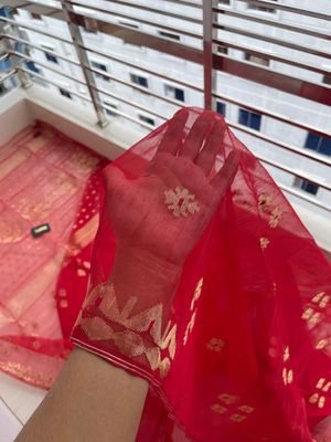 বৌ রাণী🪆_img_7