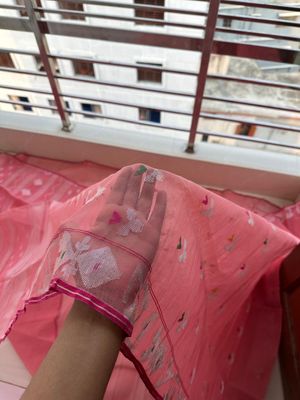 Peach🍑_img_3
