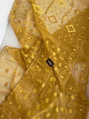 Mustered Yellow 🌭_img_0