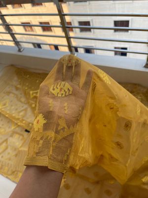 Mustered Yellow 🌭_img_2