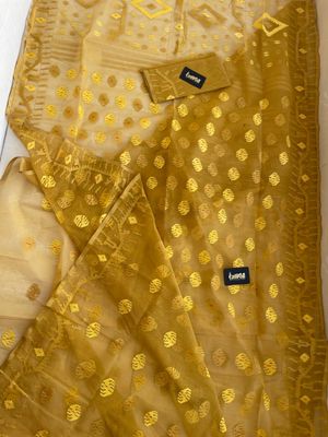 Mustered Yellow 🌭_img_5