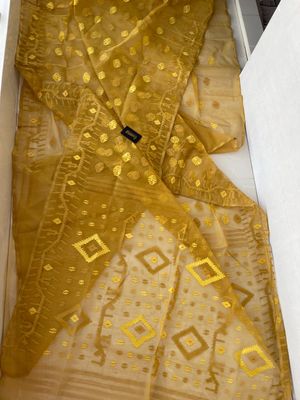 Mustered Yellow 🌭_img_8