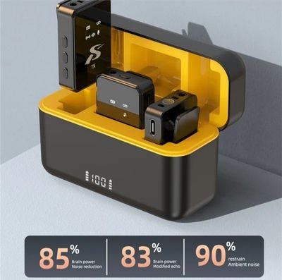 SX12 Lavalier Clip-On Wireless Microphone with Dual Microphones + Receiver_img_2