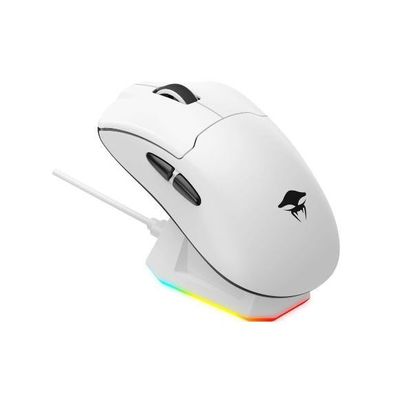 HAVIT StarBlaze-2 H.KRAKEN Tri-Mode Gaming Mouse with RGB Charging Dock_img_0