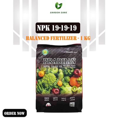 NPK 19-19-19 (Balanced Fertilizer) - 1 Kg (Intact Packet)_img_0