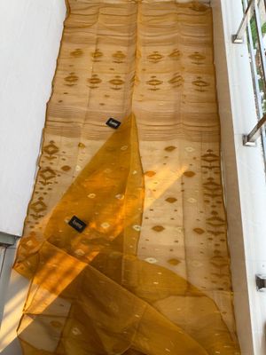 Golden_img_1