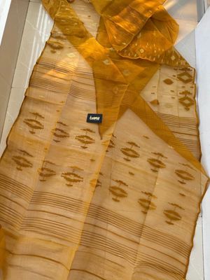 Golden_img_6