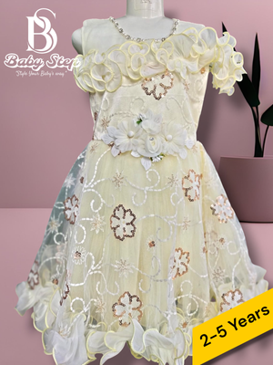 Elegant Baby Girl Party Dress._img_2