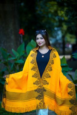 Premium Stylish Shall Chador_img_1