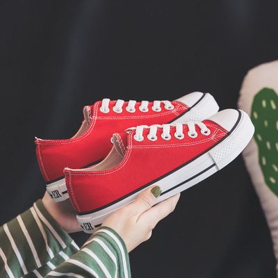 Canvas shoes_img_7