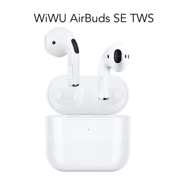 WIWU Airbuds SE True Wireless Stereo Ear Buds (ASTWSW)_img_0