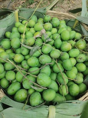 সাতক্ষীরার বিখ্যাত কাঁচা আম_img_1