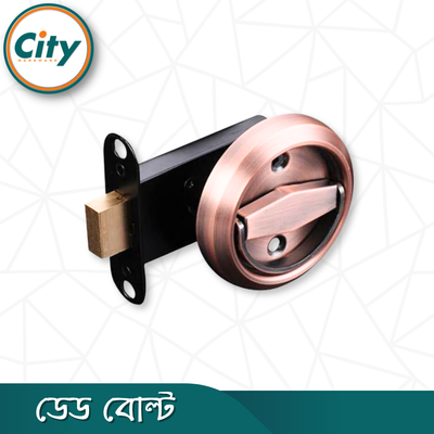 স্টেইনলেস স্টিল ইনভিসিবেল ডোর লক নব সিস্টেম ডেড লক উইথ রাউন্ড কনসিলড হ্যান্ডেল_img_1