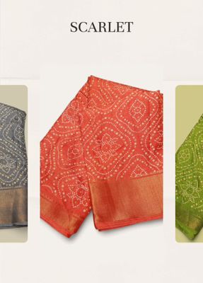 Gadwal Joripal Chunri silk With blous_img_6