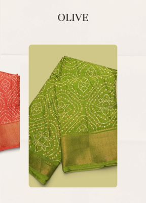 Gadwal Joripal Chunri silk With blous_img_7