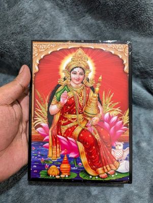 স্পেশাল চিত্রপট কালেকশন ৫×৮ ইঞ্চি_img_0