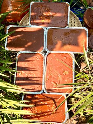 সিজনাল স্পেশাল কম্বো_img_3