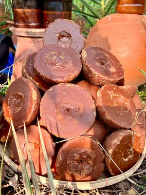 সিজনাল স্পেশাল কম্বো_img_4