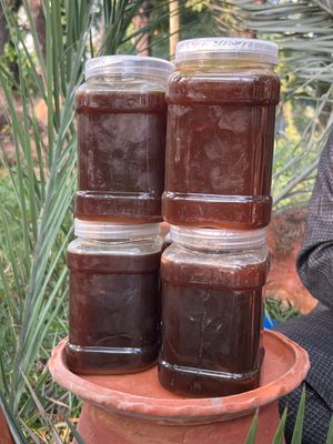 খেজুরের ঝোলা গুড়_img_2