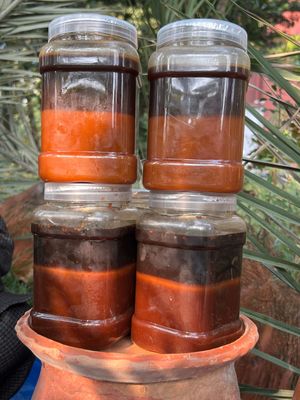 খেজুরের ঝোলা গুড়_img_3