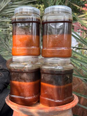 খেজুরের ঝোলা গুড়_img_4