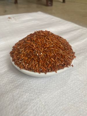 ব্রি-৮৪ ফুল ফাইবার চিকন চাল ২৫ কেজি_img_1