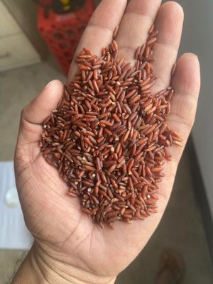 ব্রি-৮৪ ফুল ফাইবার চিকন চাল ২৫ কেজি_img_4