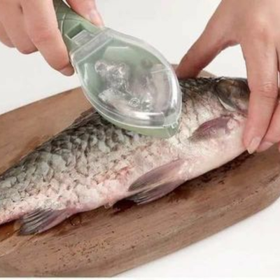 Fish Scale Remover_img_0