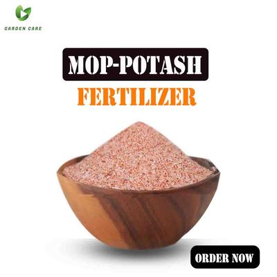 MOP - Potash Fertilizer - 1Kg_img_0