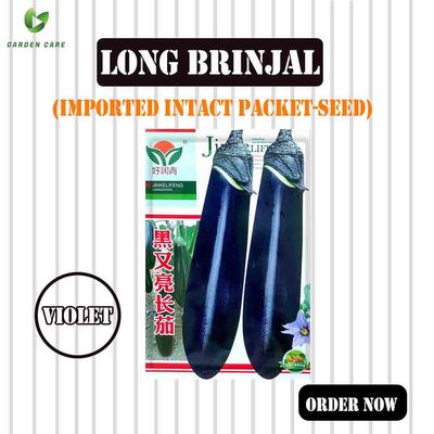 Long Brinjal Seeds Imported Intact Packet (Violet-color)_img_0