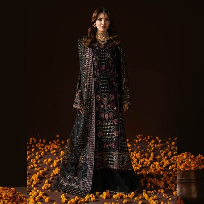 Ramsha DASTAK VOL-2 (Q-205)_img_0