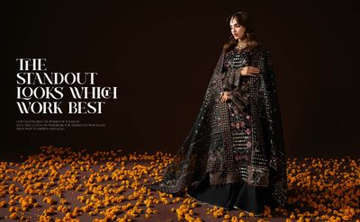 Ramsha DASTAK VOL-2 (Q-205)_img_2