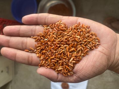 লাল বিন্নি চিকন ফুল ফাইবার চাল ৫ কেজি_img_4