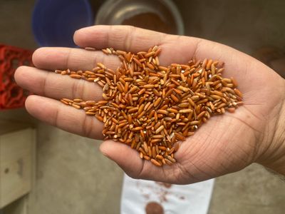 লাল বিন্নি চিকন ফুল ফাইবার চাল ৫ কেজি_img_3
