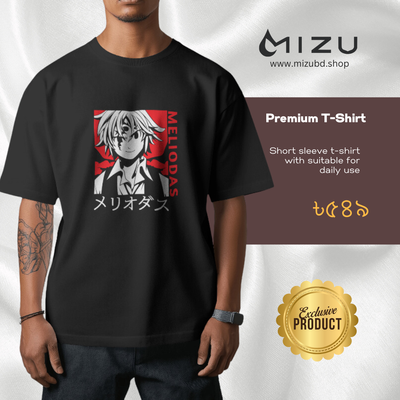 Anime premium t-shirt_img_0