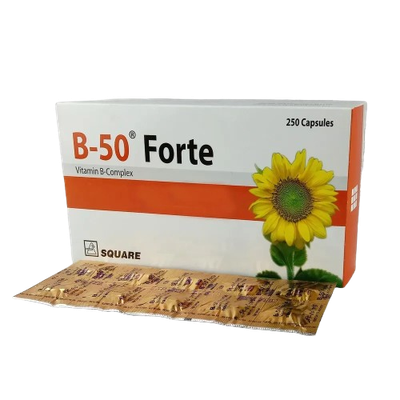 B-50 Forte_img_0