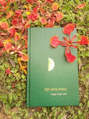সবুজ রাতের কোলাজ_img_0