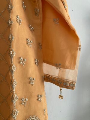 Embroidered Women's One-Piece - Soft Peach - Organza_img_1