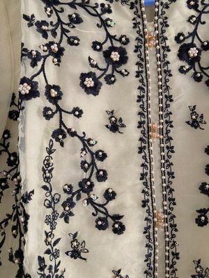 Embroidered Women's One-Piece - Soft Peach- Organza_img_1